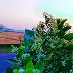 SUMANT PANDEY★★ - @sumant_pandey_001 - Instagram