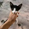 SumayaKhan_ - @sumayakhan_ - TikTok