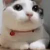 sumedhakumar140 - @sumedhakumar140 - TikTok