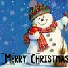 sumesh arora - @sumesh.arora - TikTok