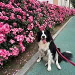 Sumin Kong - @kong.sumin - Instagram