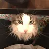 Sumin Lee - @_sumin.lee - TikTok