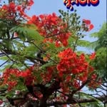 Sumit Dasgupta - @sumitdas.g - Instagram