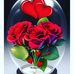 Sumitra Saini - Facebook