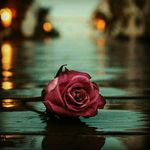 summaya khan - @summayakhan996 - Instagram