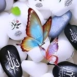 Summaya Khan - @s_u_m_m_a_ya_____m - Instagram