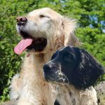 SUMMER & BAILEY - @summer.and.bailey - Instagram