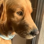 Summer - @_summer.bailey_ - Instagram