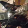 summerbailey939 - @summerbailey939 - TikTok