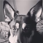 Summer Barker - @summerbarkbarker - Instagram