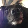Summer Barnes - @user11119538 - TikTok