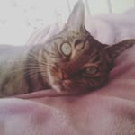 summerbarrow - @summertime071 - Instagram