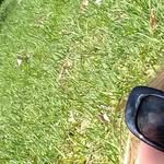 summer busby - @bussummer - Instagram