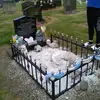 Summer Cain - @summer.cain12345 - TikTok