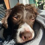 Summer - @summer.cainey - Instagram
