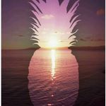 Summer carver - @summercarver2007 - Instagram