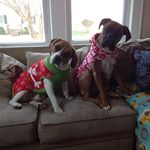 Summer & Chance - @summer_and_chance - Instagram