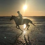 summer and chance - @summerequestrian_ - Instagram