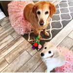 Summer Chance - @summerchance8 - Instagram