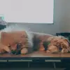 Summer - @_summerchase - TikTok