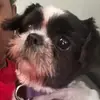 Summer Cherry - @summer.cherry2 - TikTok