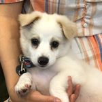 앵두 - @summer_cherry____ - Instagram