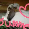 Lilly - @summer_cotton123 - TikTok