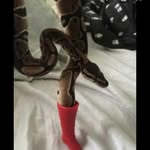 summer cotton - @summer_cotton123456 - Instagram