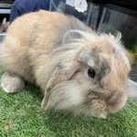 Summer - @summer_cotton_ - Instagram