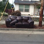 SummerCouch - @baculumcranium - Instagram