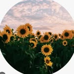 Summer-Lily Crispin - @summerlily.crispin - Instagram