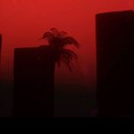 Summer Crossley - @summer_crossley - Instagram