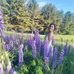 Summer Curran - Facebook