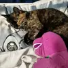 Summer Davidson - @srd.1328 - TikTok