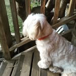 Summer Diaz - @summer_d420 - Instagram