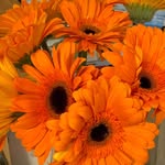 @summerdown.special - Instagram