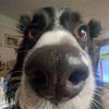 drewsummer - @drewsummer - TikTok