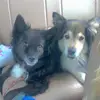 Summer Driscoll - @summer.driscoll - TikTok