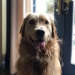 Summer Dunn-Roush - @_summer_the_golden - Instagram