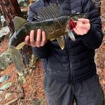SummaFishing - @summer_fishing08 - Instagram