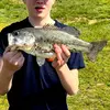 summer_fishing276 - @fishingfr292 - TikTok