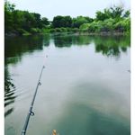 Summer Gibbs - @summergibbs45 - Instagram