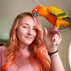 Summer Gibbs - @summerdgibbs - TikTok
