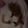 Summer gill - @summer.gill15 - TikTok