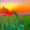 Summer Gill - @summer.gill032 - TikTok