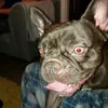 user501807493652 - @summerhancock282929 - TikTok
