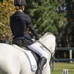 Summer harris - @summerh.dressage - Instagram