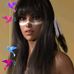 Summer Hawk - Facebook