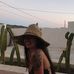Summer Herring - Facebook