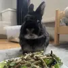 summer holt - @summer.holtx - TikTok